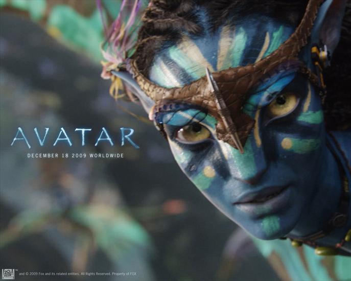 Avatar - Avatar 8.jpg