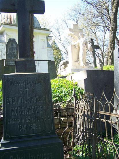 Cmentarz na Rossie - Wilno - Cmentarz na Rossie 021.jpg