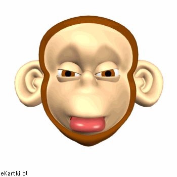 E-GIFY - 455_monkey.gif