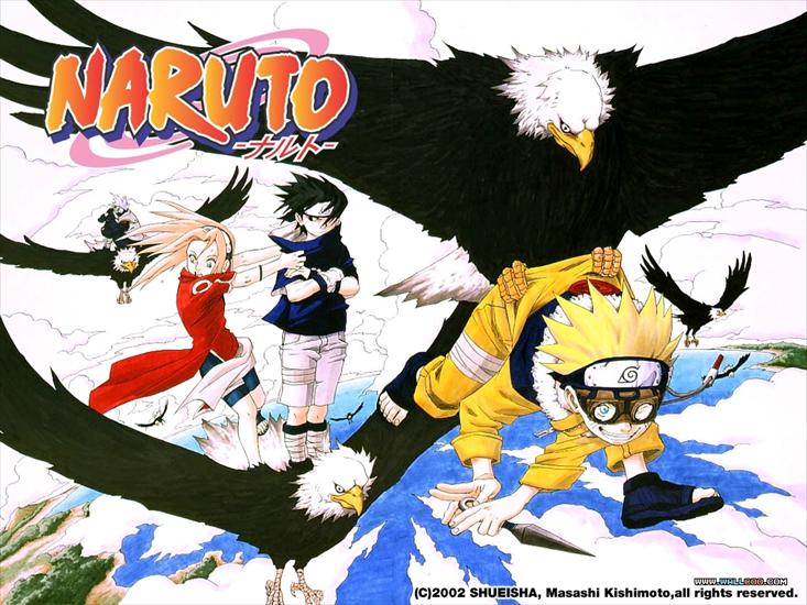 Naruto - naruto_19.jpg