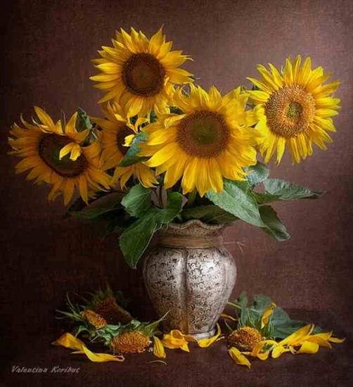 Galeria bukietów kwiatowych - Słoneczniki - bukiet.jpg
