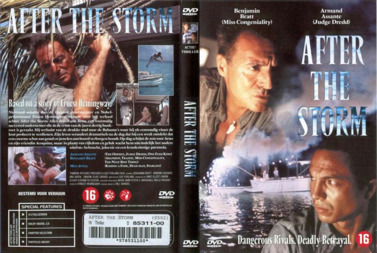 okładki DVD - After_The_Storm_-_Dvd_Nl_covertarget_com.jpg