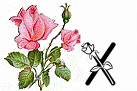 róże rozkwitające - X.gif