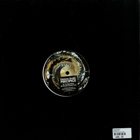 Delano_Smith--Precipice-MM11-Vinyl-2012-dh - 00-delano_smith--precipice-mm11-vinyl-2012-back-dh.jpg