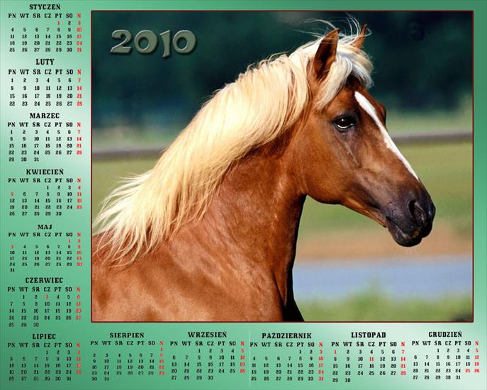 Kalendarze 2010 - Kalendarz 201018.jpg