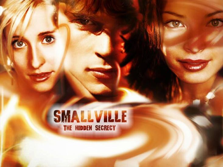 Smallville - Smallville 8.jpg
