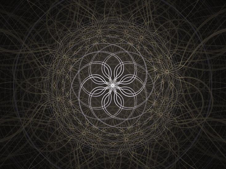 Galeria - artist-xero-sama-digital-art-fractal-Intricacy_Belated.jpg