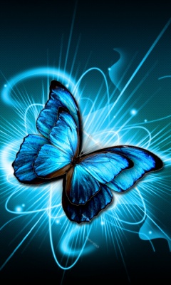 Samsung Avila - Butterflies.jpg