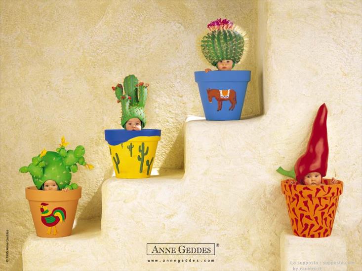 Anne Geddes - kaktusiki.jpg