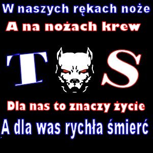 Wisła Kraków - pies4ez.jpg