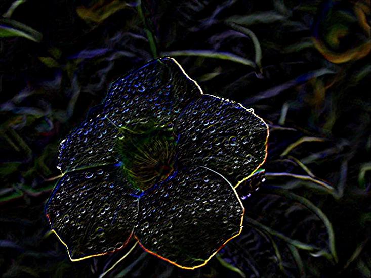 neonowe kwiatki - n3.jpg