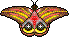 motyle - vlinders_149.gif