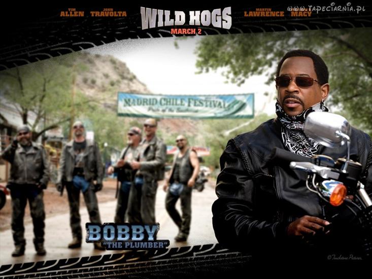 MEN - 31958_wild_hogs_martin_lawrence.jpg