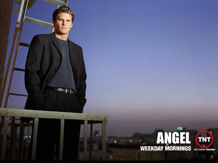 Anioł Ciemności - David_Boreanaz_in_Angel_TV_Series_Wallpaper_2_800.jpg
