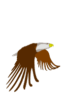 Animowane - eagle.gif
