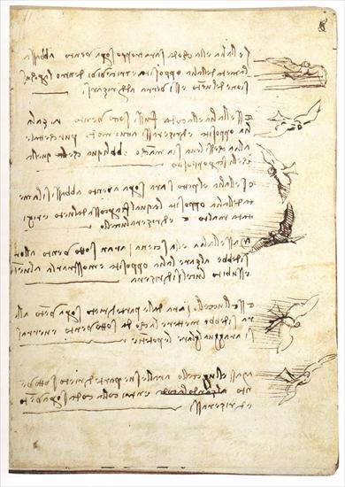 Studies  drawings - Codex on the flight of birds Biblioteca Reale, Turin.bmp