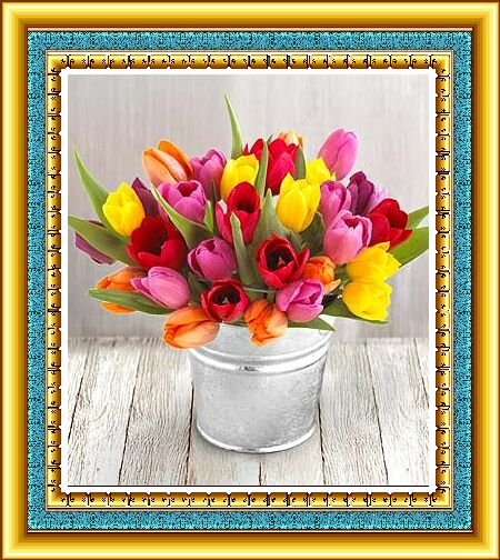 tulipany - tbbbb.jpg