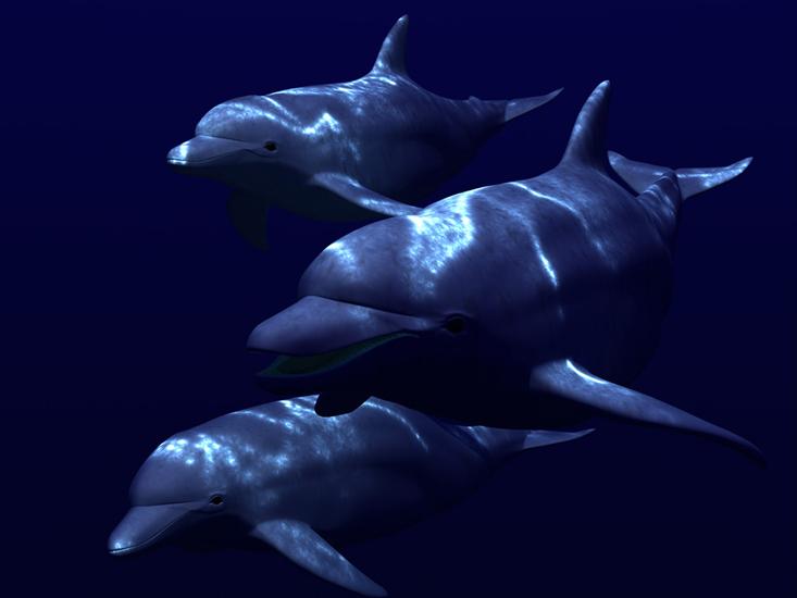 podwodne stwory - delfiny3.jpg