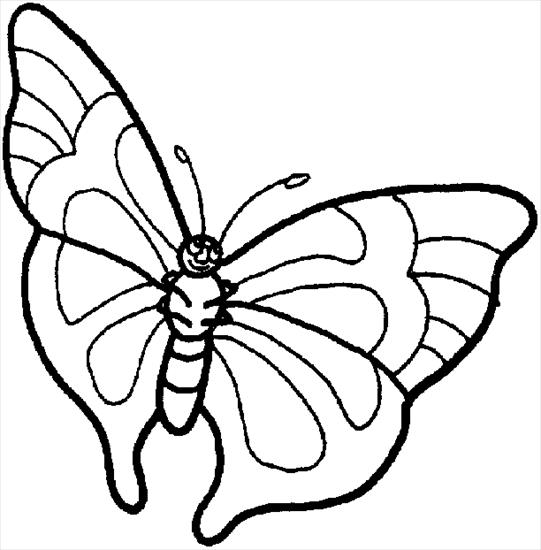 Motyle - schmetter11.gif