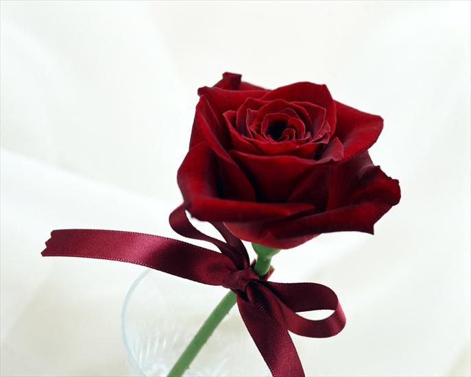 Tapety miłosne - Saint_Valentines_Day_Miraculous_rose_in_the_Valentine_s_Day_013174_.jpg