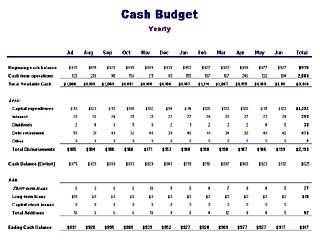 podgląd - Cash Budget.jpg
