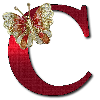 czerwone z broszką motyl - C.png