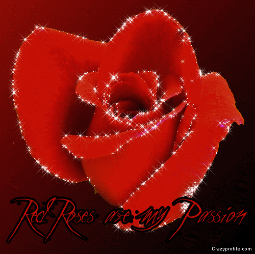 róże czerwone - flower024.gif