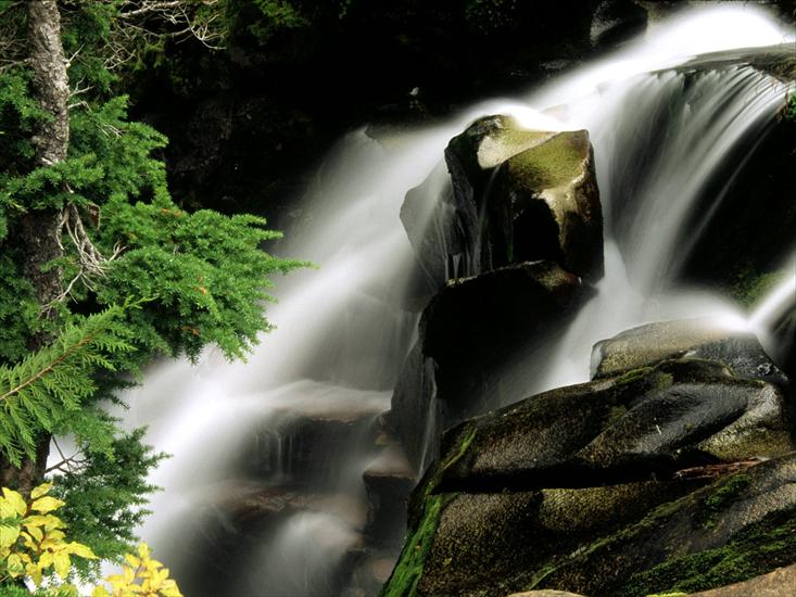 02 - Paradise River Waterfall, Washington.jpg