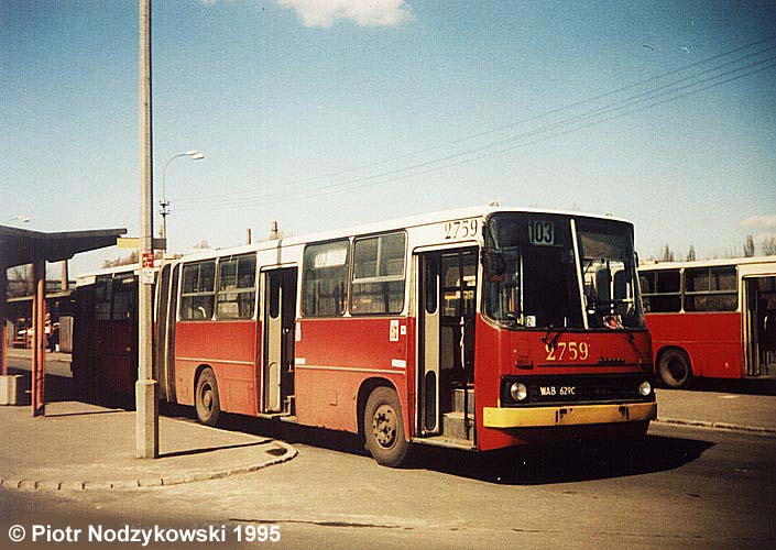 Autobusy - Stojący Ikarus 103.jpg