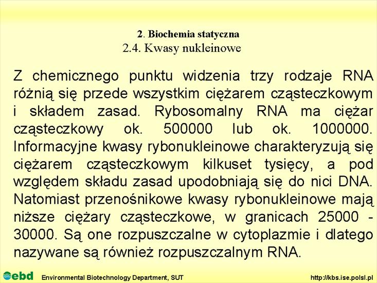 BIOCHEMIA 2 - biochemia statyczna - Slajd66.TIF