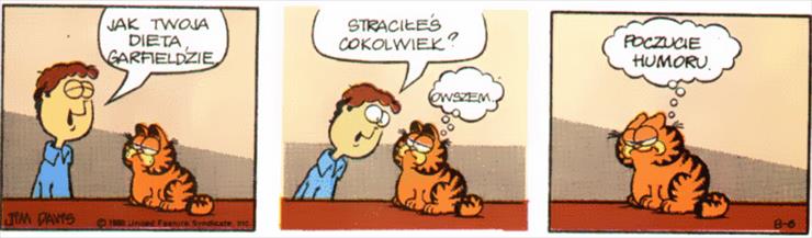 Garfield 1980 - ga800806.gif