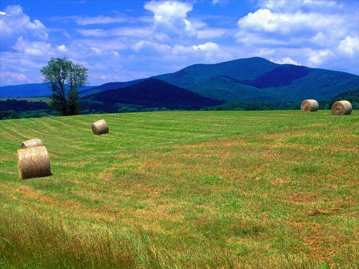 Webshots Premium Wallpapers - Rolling Hills of Virginia.jpg