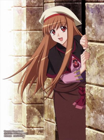 Spice and Wolf - 378994.jpg
