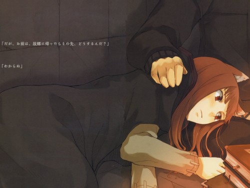 Spice and Wolf - 328088.jpg