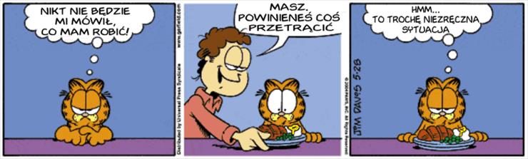 Garfield 2004-2005 - ga040528.gif