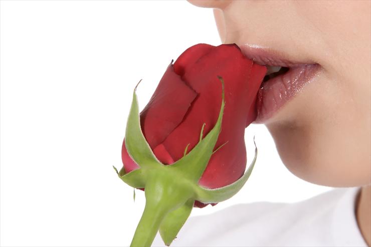 kobieta i róża - lipsrose 5.jpg