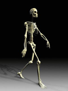 Animacje - skeleton-a_2cmymw33.gif