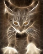 Obrazki - Cat 1.jpg
