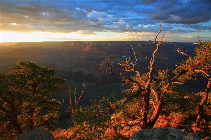 Tapety - Rim Light, Yavapai Point, Grand Canyon National Park, Arizona.jpg