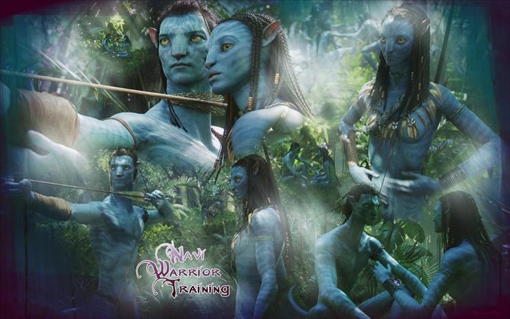 Avatar - tapety - Avatar-avatar-10125887-1680-1050.jpg