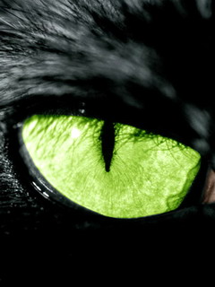 Super - green puma.jpg