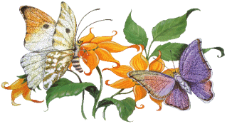 Motylki - borboletasmagiagifs17.gif