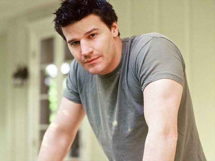 David  Boreanaz - David_Boreanaz_j5.jpg