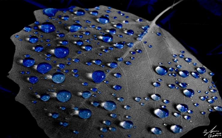 tapety -  BIŻUTERIA  MATKI  ZIEMI - Blue-Rain-Drops1.jpg