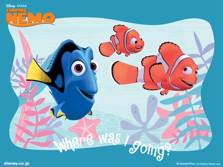 Gdzie jest Nemo - nemo 10.jpg