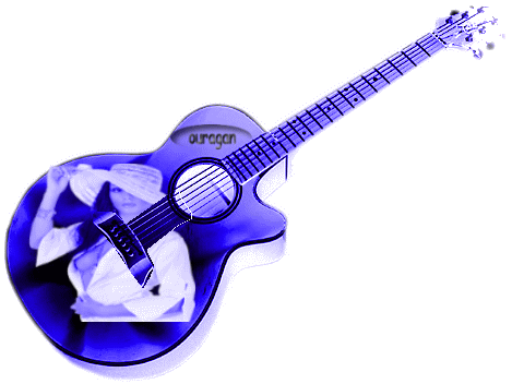 KOLEKCJA 774 - guitare1.GIF