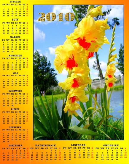 Kalendarze 2010 - Kalendarz 201013.jpg