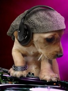 Tapety - Dj_Dog.jpg