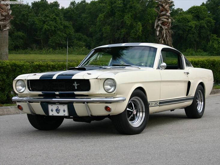 Ford_Mustang - autowp.ru_mustang_shelby_gt350_112.jpg