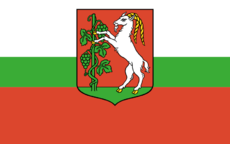 Flagi miast Polski - Flaga Lublina.png